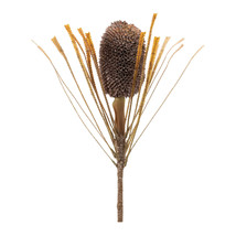 Fall Banksia Pod Stem (Set of 2) - $87.03 CAD
