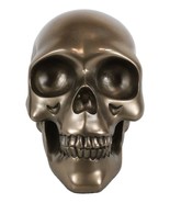Pirate Tomb Treasure Bronze Cranium Skull Figurine Electroplated Resin S... - $61.03 CAD