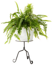 Small Plant Table Top Candle Stand Scrolled Wrought Iron Amish Handmade In Usa - £42.52 GBP