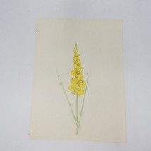 Acuarela Pintura Amarillo Delphinium Naturaleza Muerta - £45.56 GBP