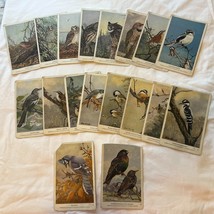 North American Birds Thick Trading Cards Full Set of 50/50. Vintage!! - $1,100.36 MXN