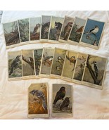 North American Birds Thick Trading Cards Full Set of 50/50. Vintage!! - $1,100.36 MXN