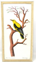 Oriole Bird Water Color Painting Frame Pirol 12&quot;x7&quot; Dietershagen Germany Vintage - £131.51 GBP