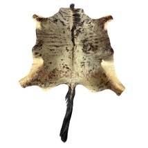 Wildebeest Skin (Tail: 26&quot;) Size: 54x51&quot; D-967 Real African Gnu Hide - $5,472.64 MXN