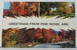 Arkansas Greetings from Pine Ridge Ark Split View Fall Colors Postcard L20 - £6.26 GBP