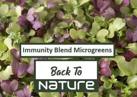 Immunity Blend Microgreen Seeds - 6 Seed Blend - Organic &amp; Non Gmo Micro... - £2.12 GBP