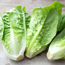 Fresh 500 Little Gem Lettuce Seeds  - $5.79