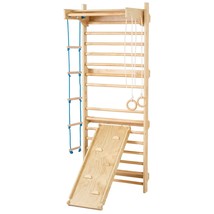 Swedish Ladder Wall Gym 5 in 1 Wooden Indoor Playground Climbing Toys - $4,423.59 MXN