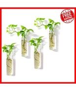 Elegant 4 Cylinder Glass Terrarium - Wall-Mounted Indoor Planter for Hyd... - €28,22 EUR