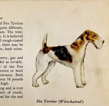 Fox Terrier Wire Haired 1939 Dog Breed Art Ole Larsen Color Plate Print ... - $563.75 MXN