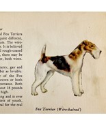 Fox Terrier Wire Haired 1939 Dog Breed Art Ole Larsen Color Plate Print ... - $29.99