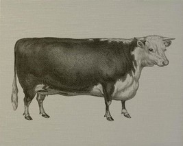 Wall Art Print English Cow 47x38 38x47 Natural Linen Unframed - £471.19 GBP