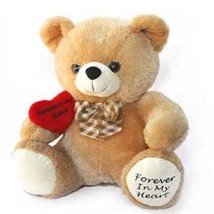 Tan Huggable Teddy Bear Infant/Child/Pet Funeral Cremation Urn, 10 Cubic Inches - £54.05 GBP