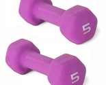 5lb Dumbbells  Weights, Pair 10 lbs Total - $22.20