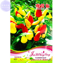 Fresh Pepper Yellow Red Pod Chilli Seeds 25 Seeds - £4.67 GBP