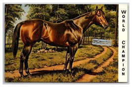 3 Horse Palomino Thoroughbread Double Thistle Champion Chrome Postcards Z8 - £6.19 GBP