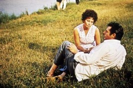 Sunflower 1970 movie Sophia Loren Marcello Mastroianni sit on grass 18x24 poster - £23.59 GBP