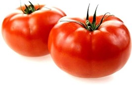 Marglobe Tomato Vegetable Garden Planting Tomatoes  50+ seeds - £6.83 GBP
