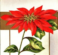 1912 Merry Christmas Embossed Postcard Poinsettia Flower Gold Accent - £5.49 GBP