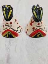 Indian Canada Sioux Narrows Teepee Salt &amp; Pepper Shakers *FREE SHIPPING* - $16.19