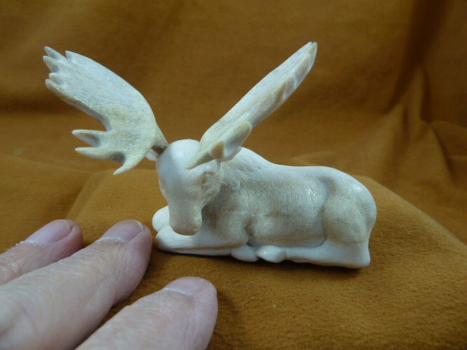 moo-w47 large white Moose Elk bull sitting shed ANTLER figurine Bali det... - $208.49