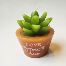 Succulent Shaped Candles, 2.6", Love Grows, Happy Place, Live What You Love image 3