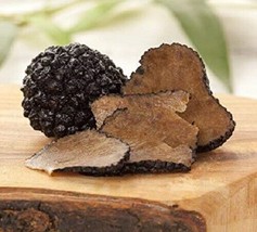 28gr/1(oz.)Mushrooms Truffle Black Dried Seeds Mycelium Spawn ! - £9.38 GBP