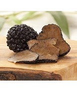 28gr/1(oz.)Mushrooms Truffle Black Dried Seeds Mycelium Spawn ! - $41.49 CAD