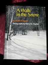 A Walk in the Snow, Busch, Phyllis S. - £7.27 GBP