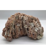 NATURAL Worm Tube Coral Cluster 6x4 -14 ozin Ocean Reef Specimen Marine ... - $543.11 MXN