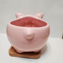 Pig Planter, Pink Pig Plant Pot, Ceramic Animal Planter, Succulent Planter, 6" image 3