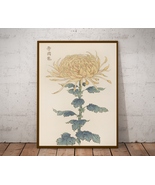 Japanese Floral art, Chrysanthemum, Poster and Canvas, Scientific Illust... - £9.50 GBP+