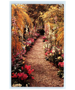 Floral Walk Longwood Gardens Kennett Square PA Postcard - €6,02 EUR