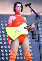 St. Vincent - 8x10 Color Photograph - $294.14 MXN