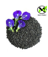 Butterfly Pea Seeds (Clitoria Ternatea)- Hoa Đậu Biếc - Organic - $7.00+