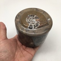590g Round Shape Fossils Ammonite Brown Medium Jewelry Box @Morocco,MF591 - £20.77 GBP