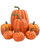 7PCS Pumpkins White Orange, Fall Artificial Pumpkins for Decoration Diff... - $296.17 MXN