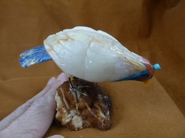 (Y-BIR-QU-46) Quail tan white blue bird gemstone STONE figurine Peru quails - £30.05 GBP