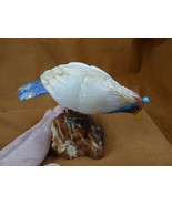 (Y-BIR-QU-46) Quail tan white blue bird gemstone STONE figurine Peru quails - $765.07 MXN