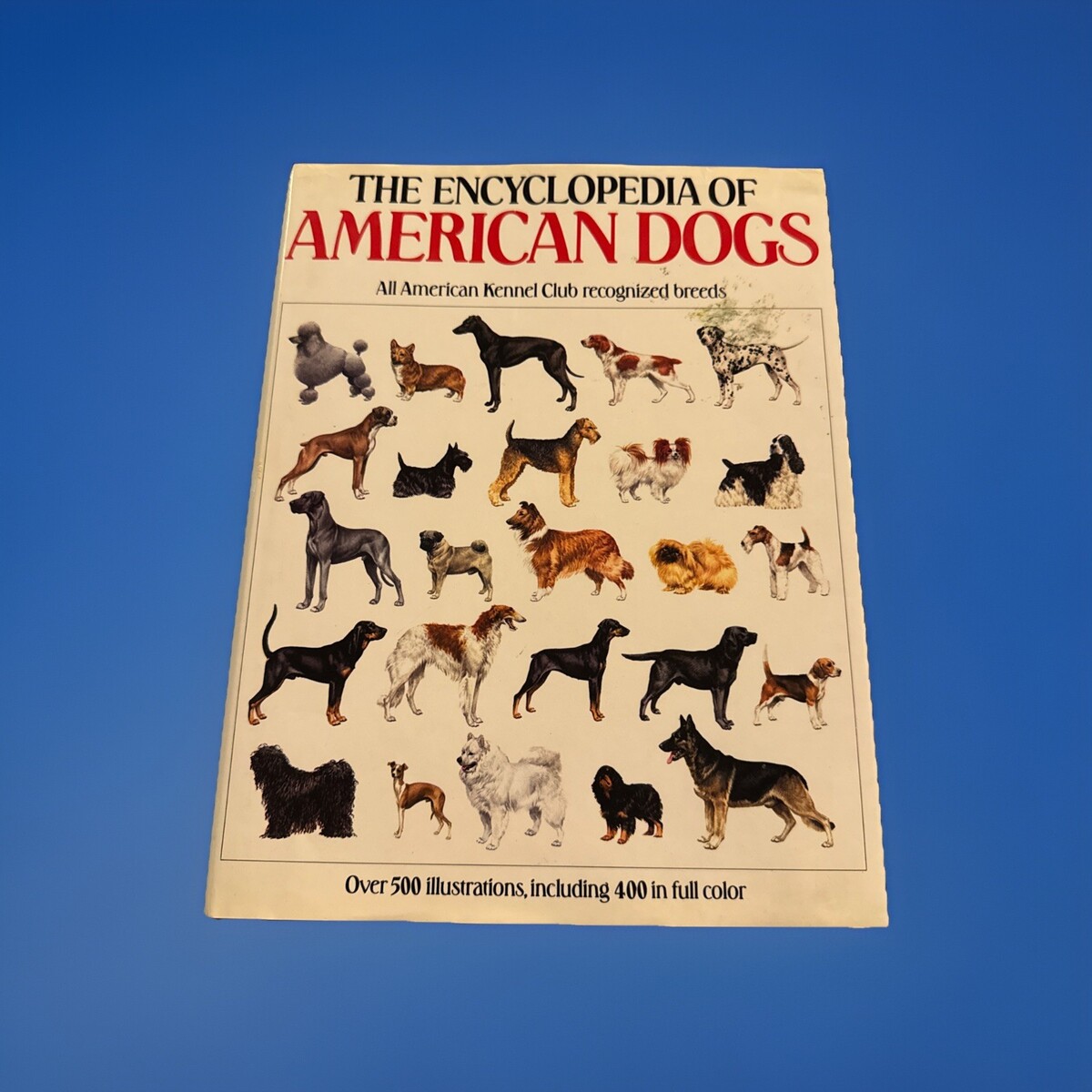Full-size item image