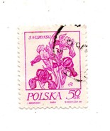 Poland Postage Stamp - $5.34 CAD
