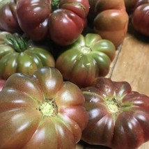 Purple Calabash Tomato Seeds Organic Garden Fast Shipping - $6.50