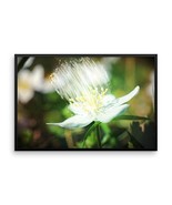 Framed Art Flower Poster - Ready To Hang Picture - Wall Decor - $154.50 CAD