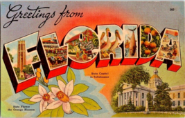 Postcard Florida Greeting Everglade State 1940 Unposted 5.5 x 3.5 &quot; - £3.89 GBP