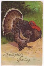 Holiday Postcard Embossed Thanksgiving Turkey Greetings - $2.96