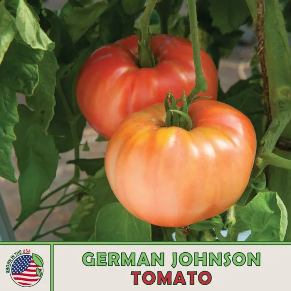 10 Brandywine Yellow Tomato Seeds Heirloom Non Gmo Fresh Garden Beautiful - £7.65 GBP