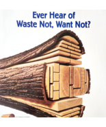 2002 International Paper Poster Life Of A Forest Tree Recycling Vintage ... - $34.17 CAD