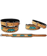 Tooled Feather Padded Leather Dog Puppy Collar 60196 - $47.51+