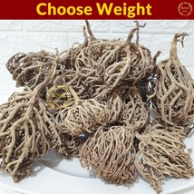 Flower Of Maryam Chaste Tree Herbs Palm Of Mary عشبة كف مريم - Choose we... - $137.22 MXN+