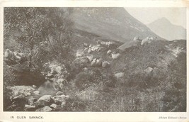 Glen Sannox Mountains Stream Scenic  UK Postcard Scotland R582 - £5.55 GBP